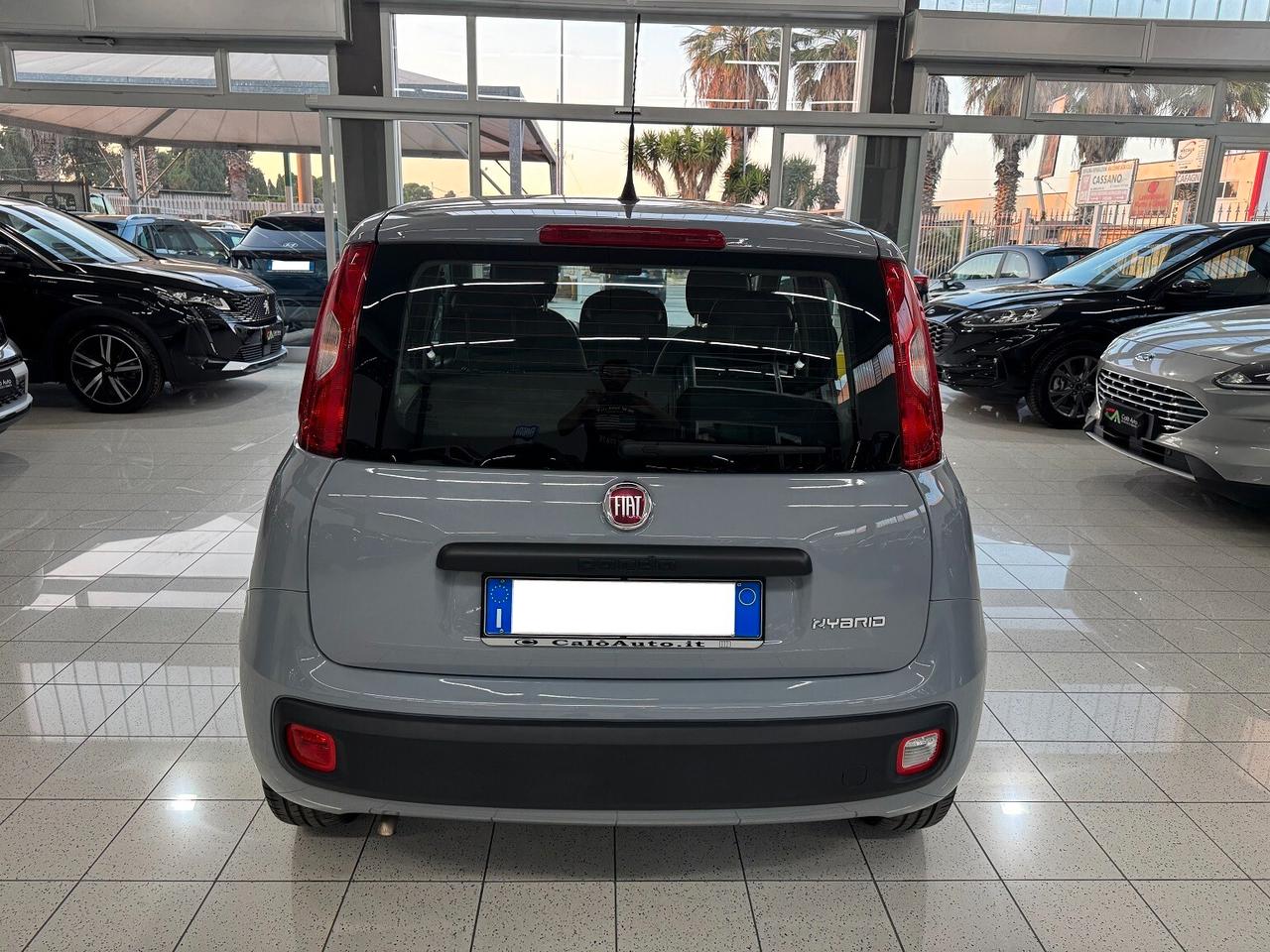 Panda 1.0Hybrid PERFETTA PRONTA CONSEGNA