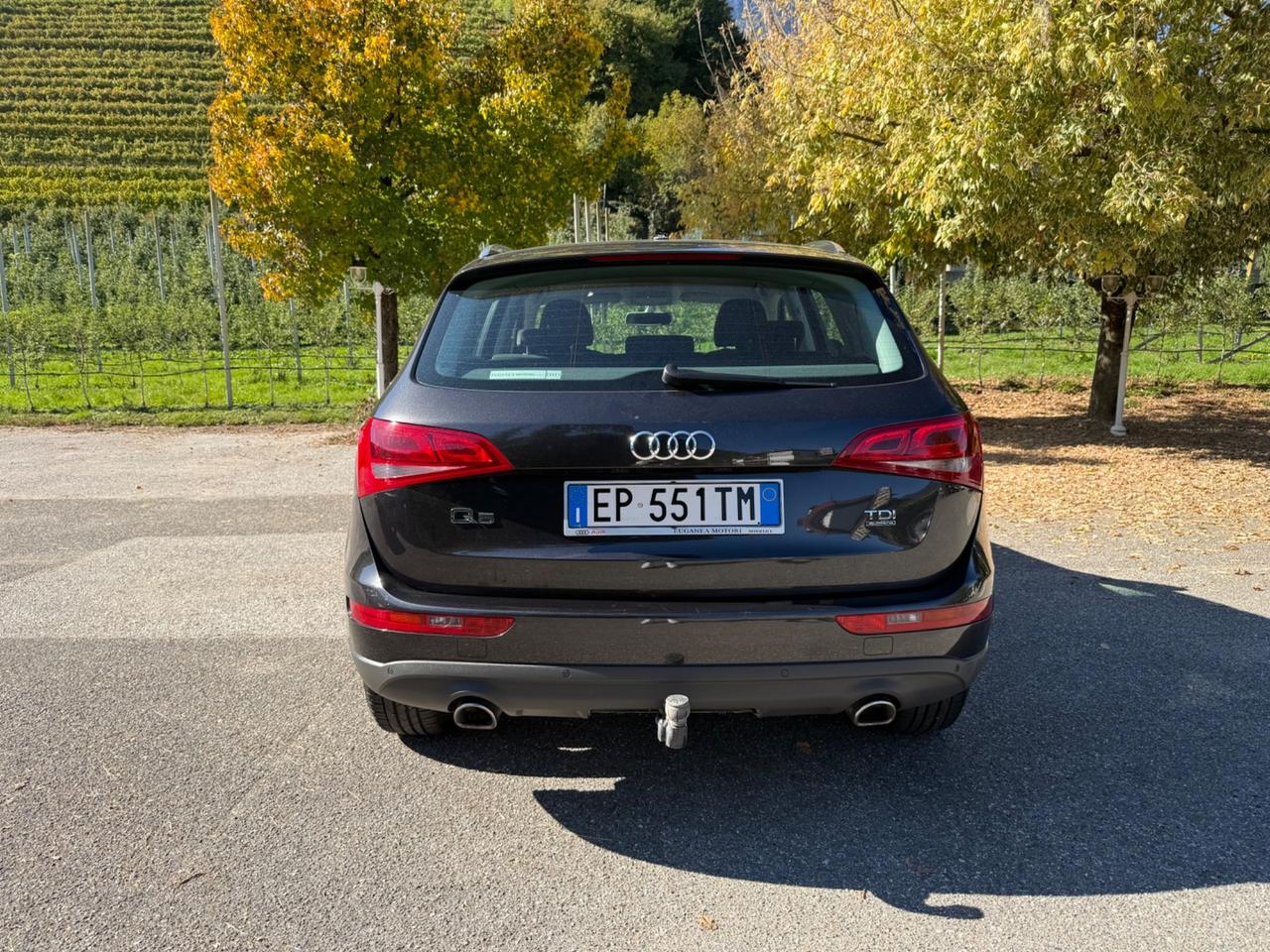 Audi Q5 3.0 V6 TDI 245 CV quattro S tronic Advanced Plus