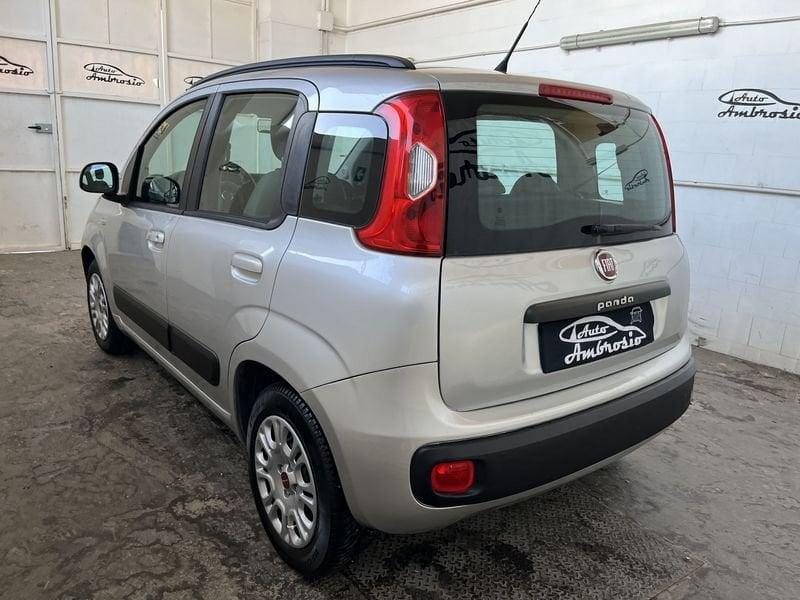 FIAT Panda Panda 1.2 GPL tua da 99,00 al mese