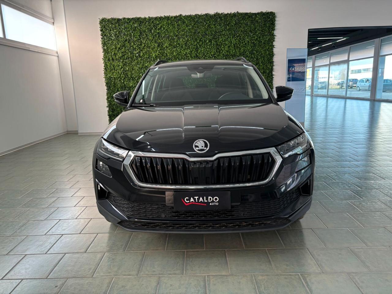 Skoda Karoq 2.0 TDI EVO SCR 115 CV DSG Style