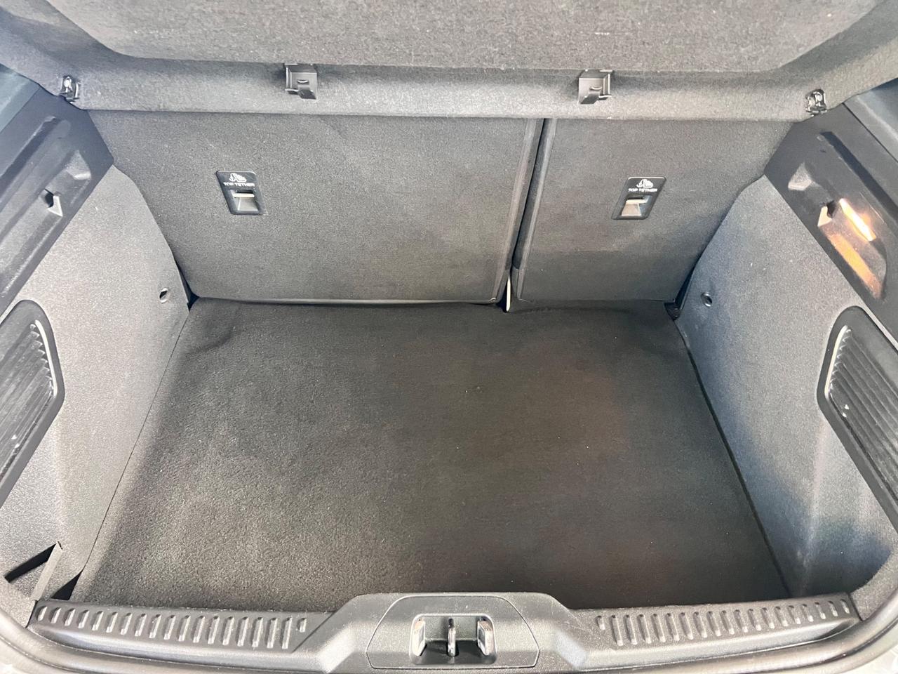 Ford Focus 1.0 EcoBoost 125 CV 5p. ST-Line Co-Pilot