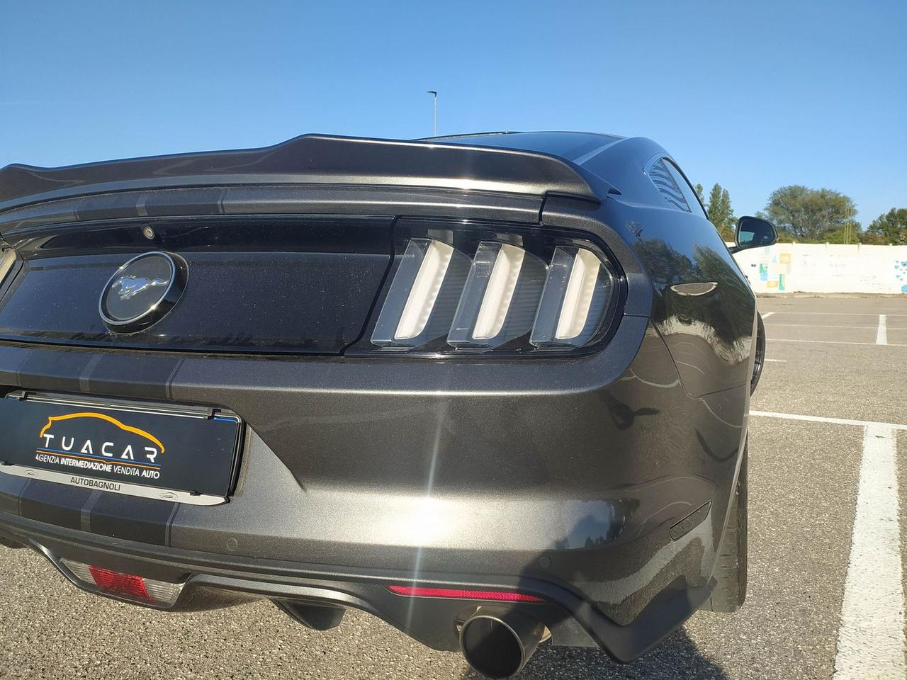 Ford Mustang 2.3 EcoBoost #6892