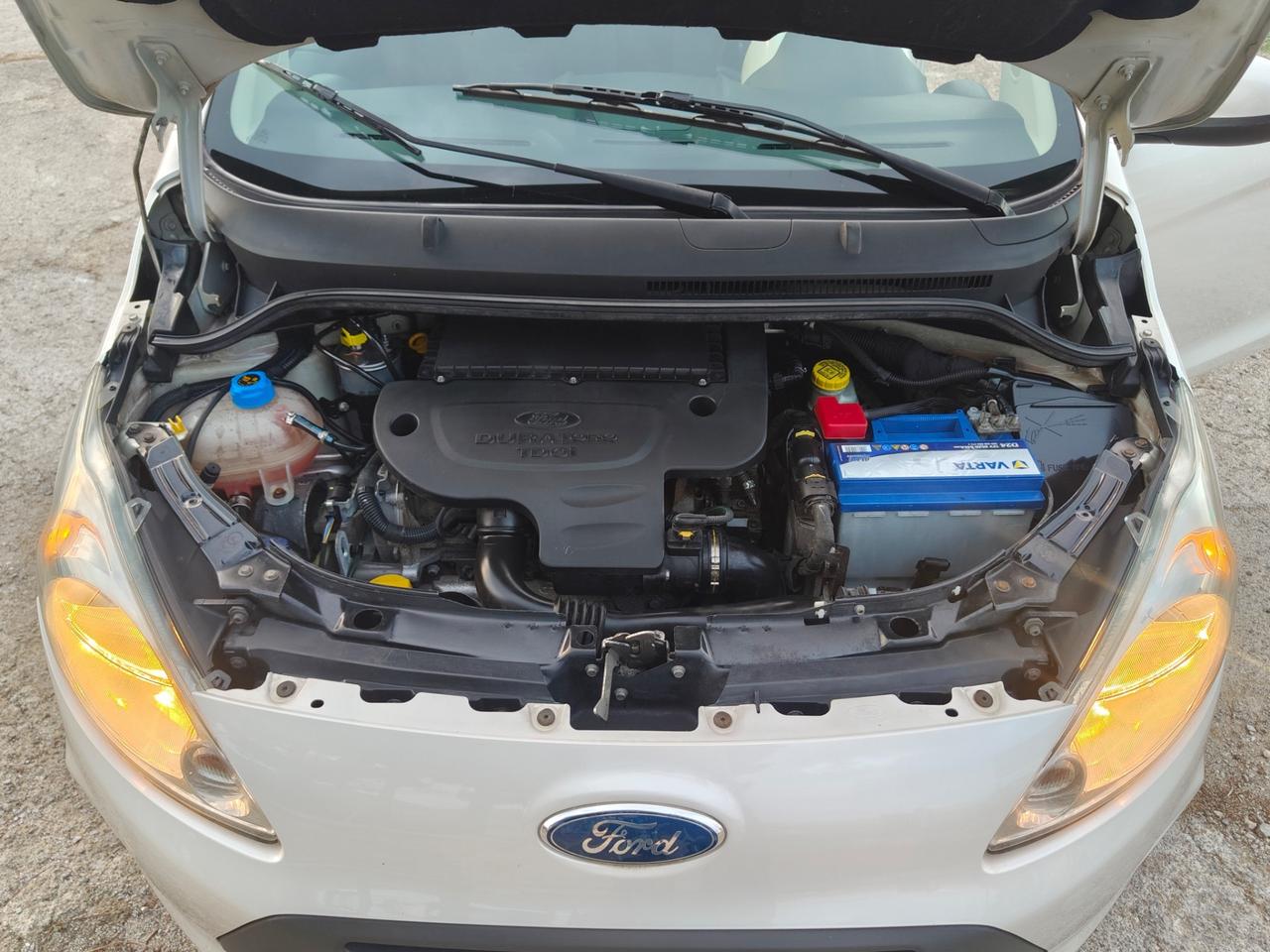 Ford Ka 1.3 TDCi 75CV Titanium NEOPATENTATI