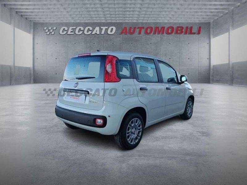 FIAT Pandina Pandina 1.0 65cv Hybrid Icon