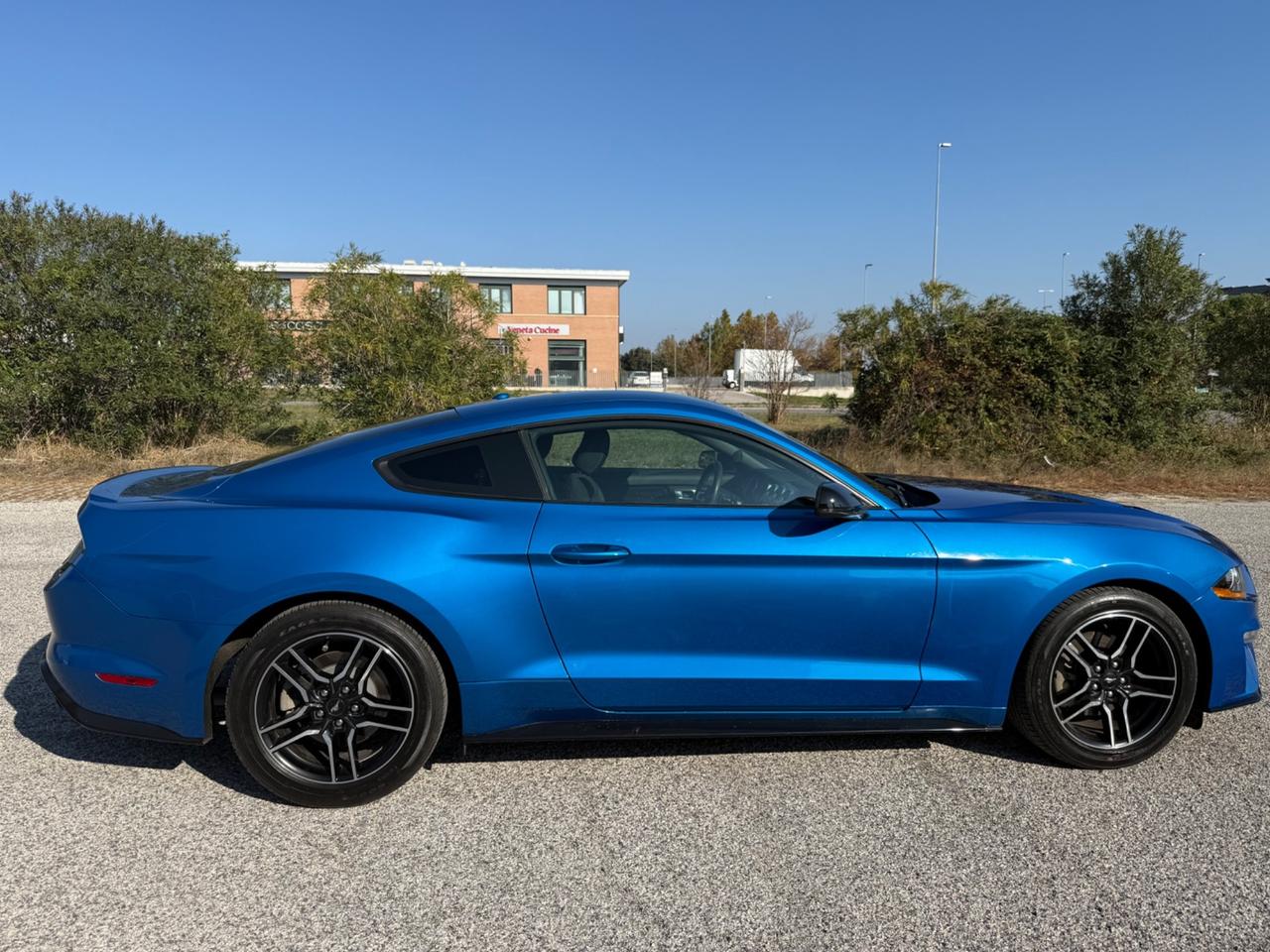 Ford Mustang Fastback 2.3 EcoBoost 2020
