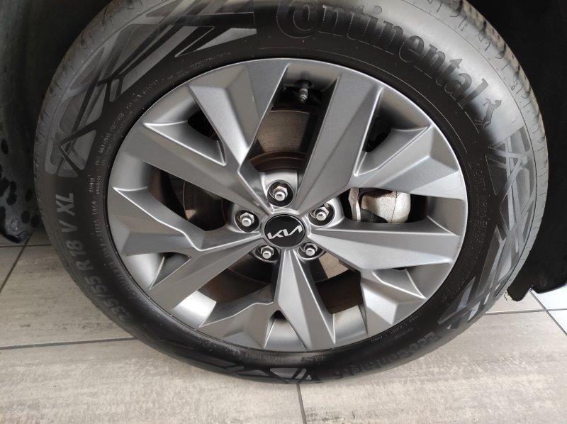 KIA Sportage 5ª serie - Sportage 1.6 TGDi HEV AWD AT GT-line Plus