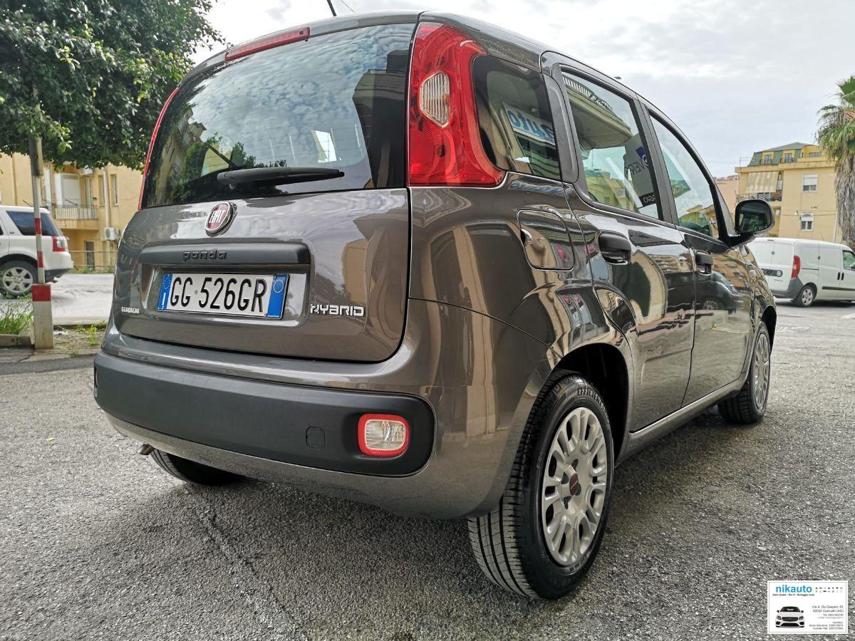 FIAT Panda 1.0 FireFly 70 CV S&S Hybrid Easy