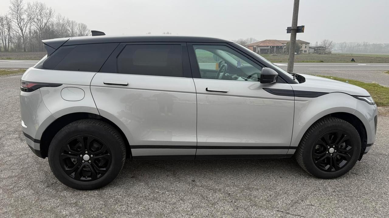 LAND ROVER Range Rover Evoque 2.0 D 150 CV SE