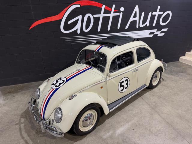 VOLKSWAGEN Maggiolino COMPLETAMENTE RESTAURATO