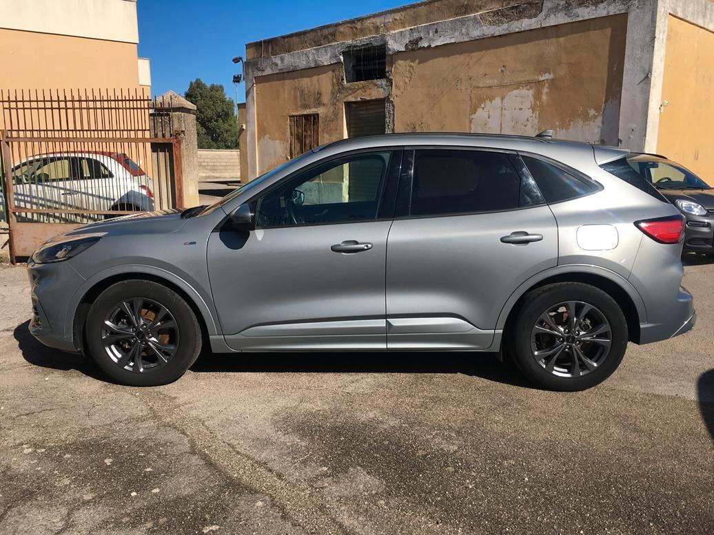 Ford Kuga 1.5 EcoBlue 120 CV 2WD ST-Line Design