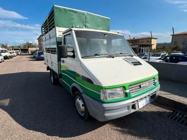 IVECO DAILY TRASPORTO ANIMALI
