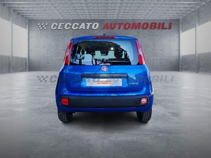 FIAT Panda Panda 1.0 firefly hybrid s&s 70cv