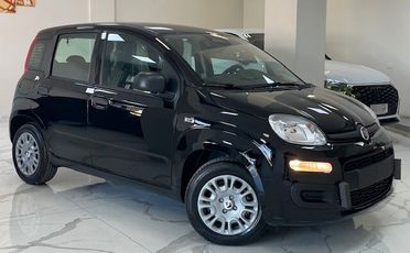 Fiat Panda Pandina 1.0 FireFly 65 CV Hybrid Icon 5.p