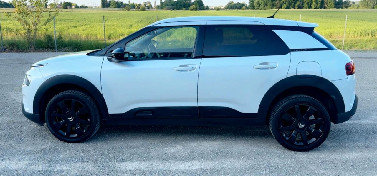 Citroen C4 Cactus BlueHDi 100 S&S Shine
