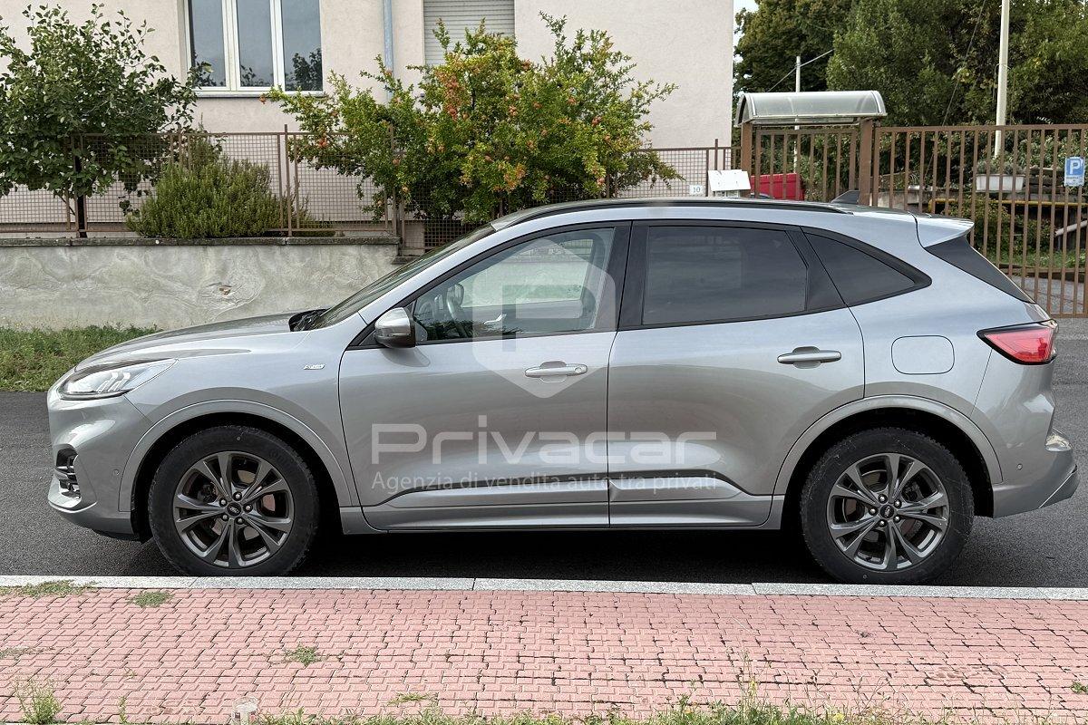 FORD Kuga 2.0 EcoBlue Hybrid 150 CV 2WD ST-Line