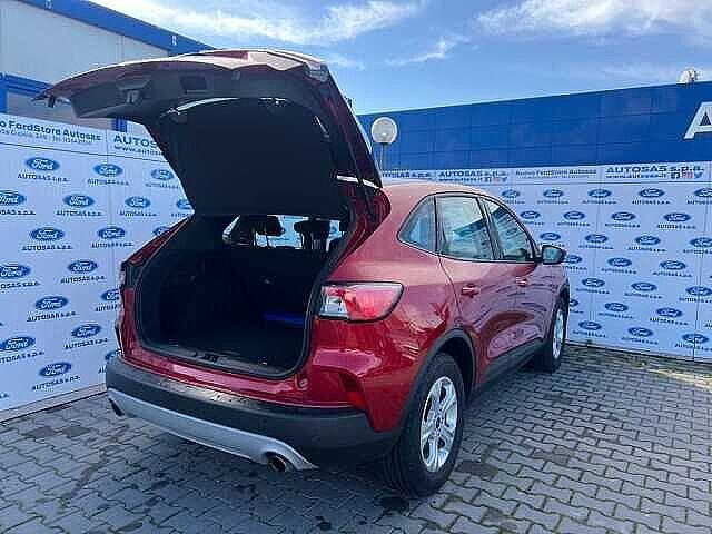 Ford Kuga 1.5 EcoBlue 120 CV 2WD Connect