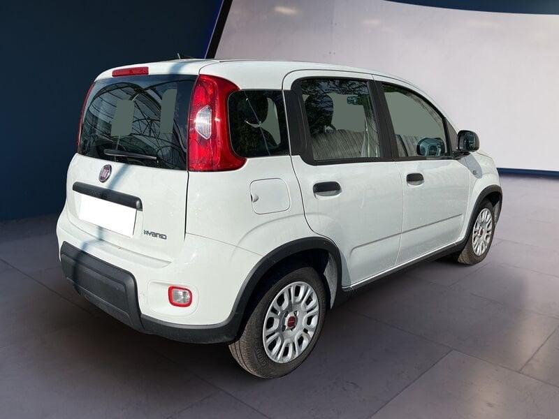 FIAT Panda My23 1.0 70cv Hybrid Panda