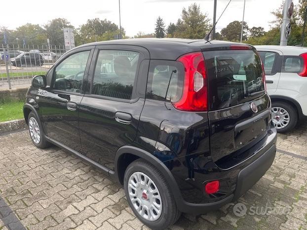 FIAT Panda 1.0 70cv Hybrid Panda N71487