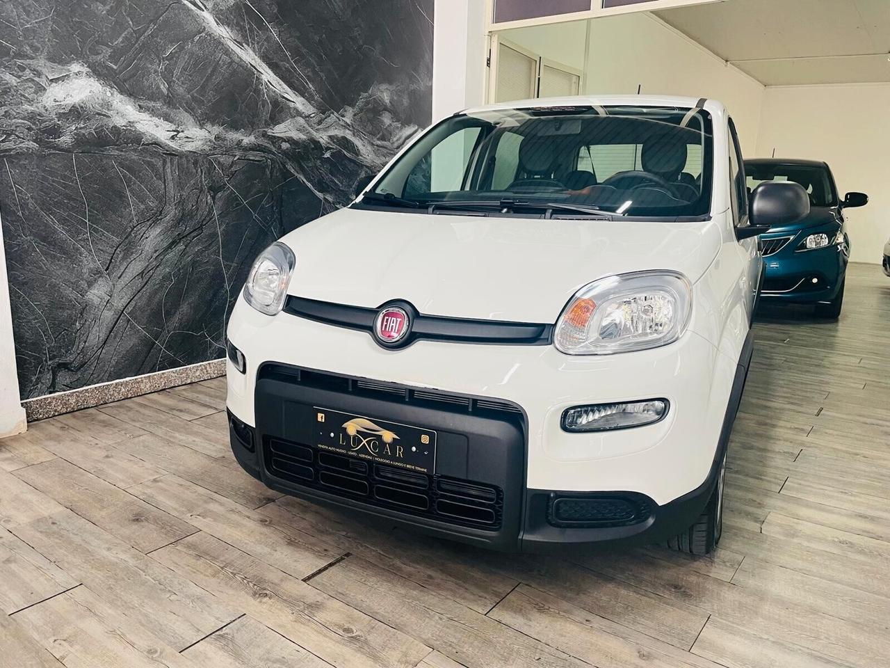 Fiat Panda 1.0 FireFly S&S Hybrid AZIENDALE 5 POSTI KM 1.633