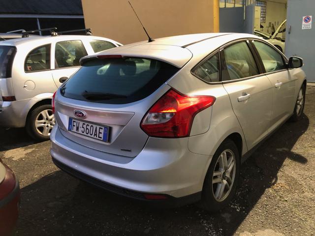 FORD Focus 1.6 TDCi 95 CV