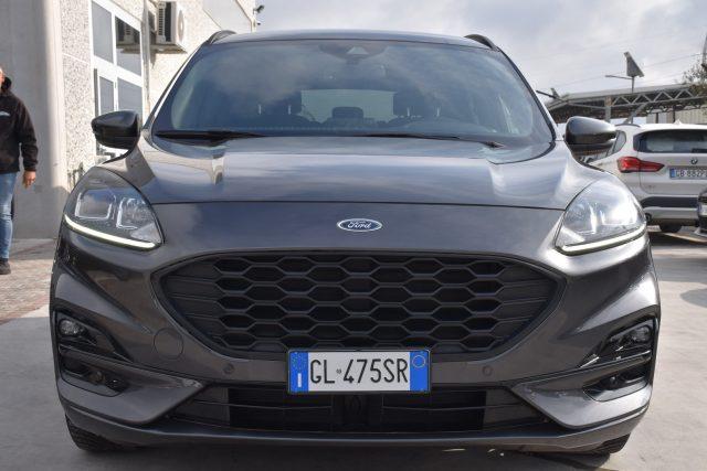FORD Kuga 1.5 EcoBlue 120 CV 2WD ST-Line