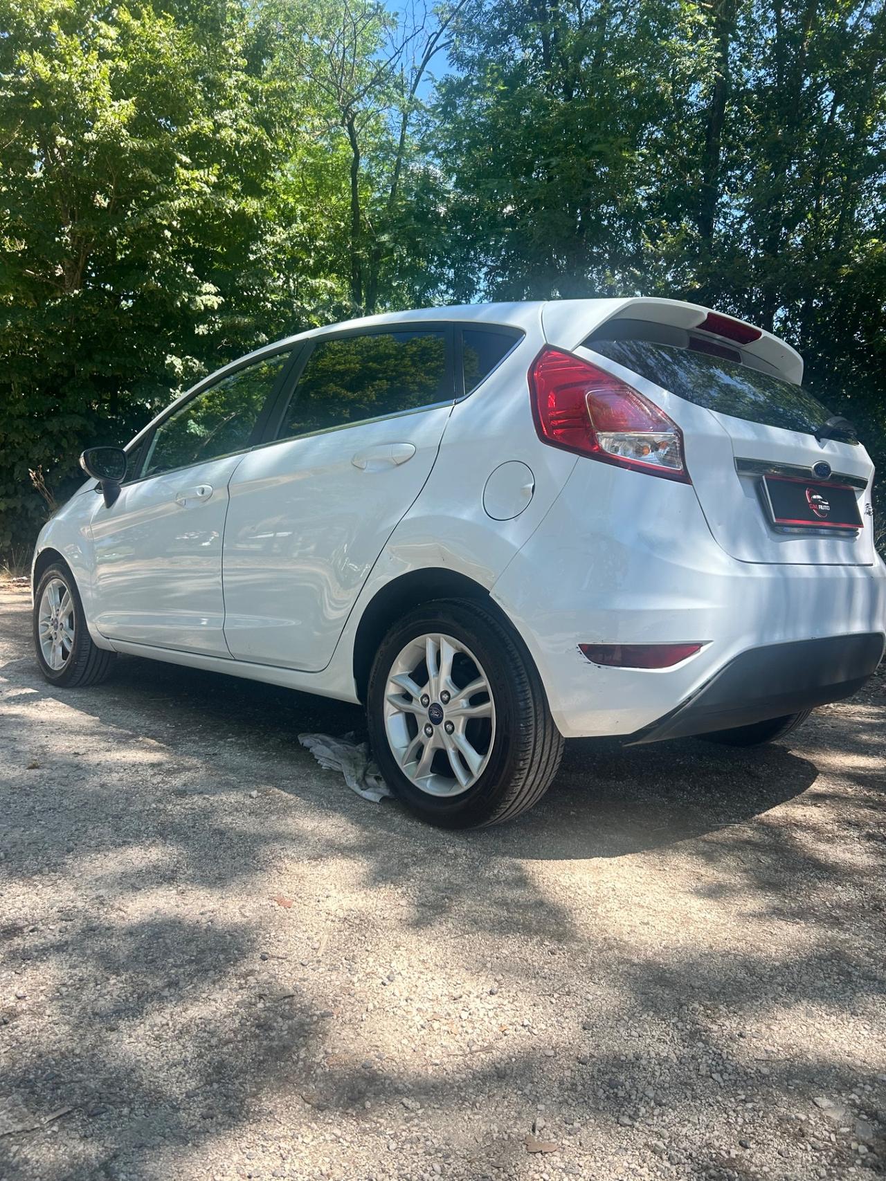 Ford Fiesta 1.4 5 porte Bz.- GPL Black & White Edition