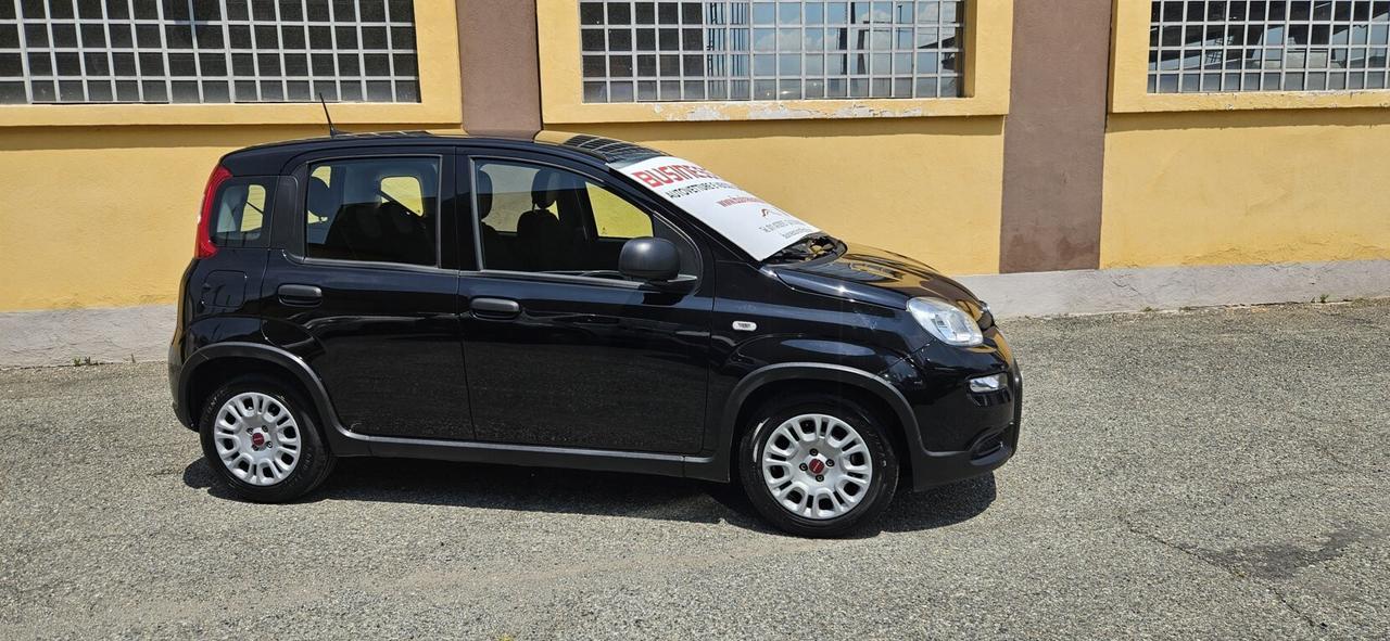 Fiat Panda 1.0 FireFly S&S Hybrid km. 5.000 - UNICO PROPRIETARIO - AUTO PER NEOPATENTATI!