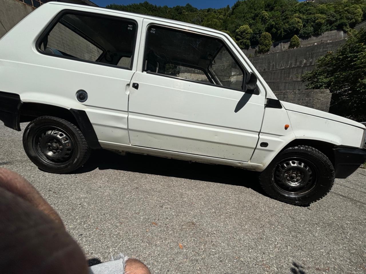 Fiat Panda 900 i.e. cat Young