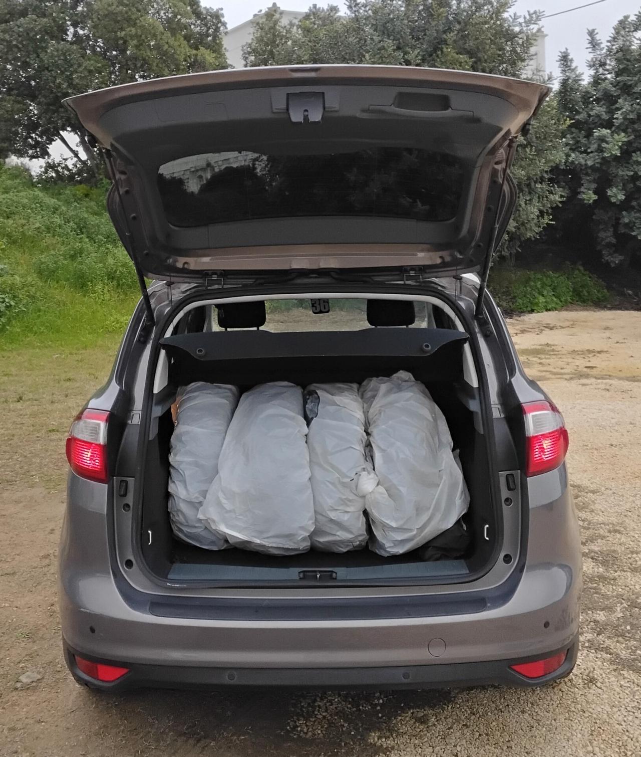 Ford C-Max 1.6 TDCi 115CV Titanium