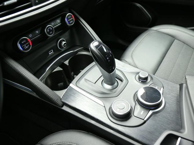 ALFA ROMEO Stelvio 2.2 Turbodiesel 190 CV AT8 Q4 Super