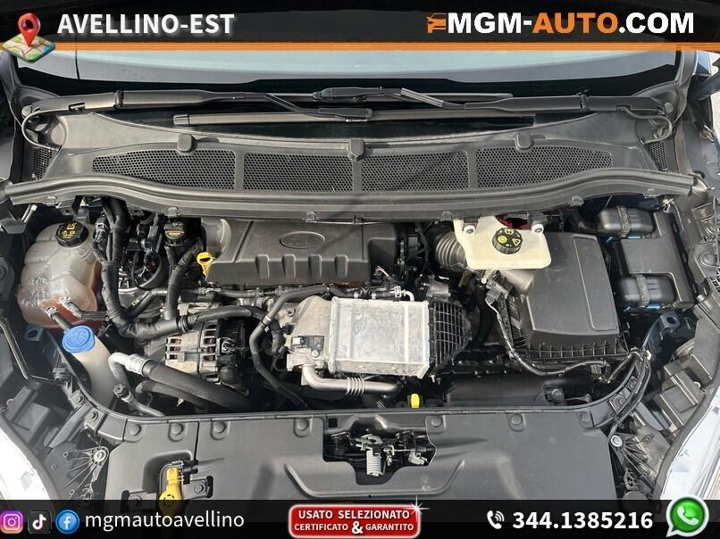 Ford Galaxy 2.0 EcoBlue 150 CV Automatico Titanium