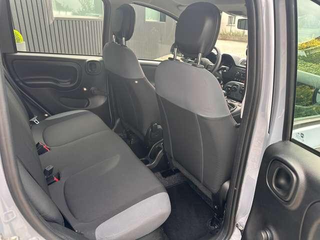 Fiat Panda Panda III 2016 1.2 Lounge 69cv