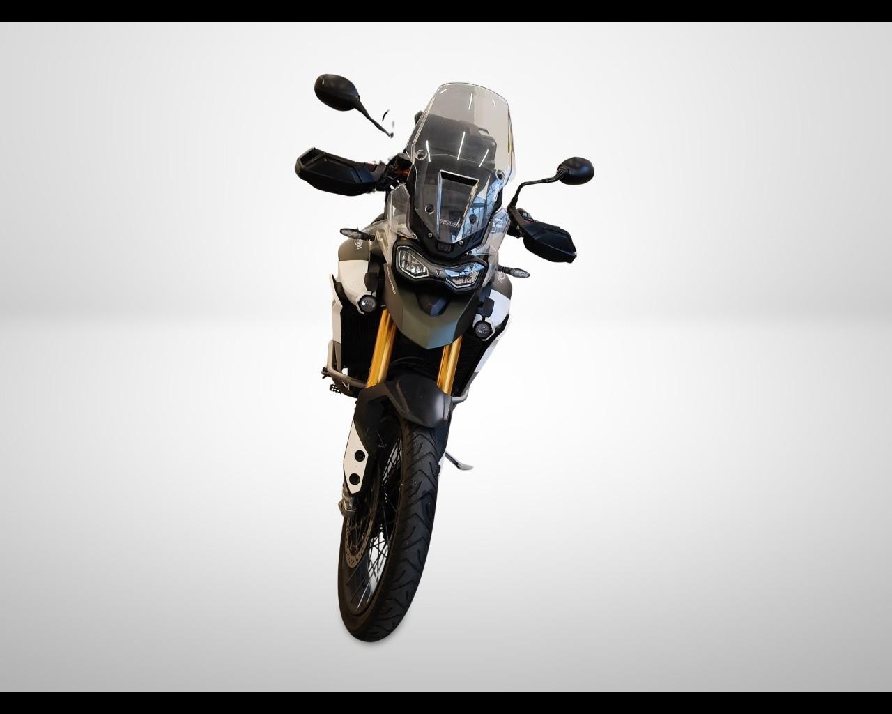 TRIUMPH Tiger 900 - Rally Pro