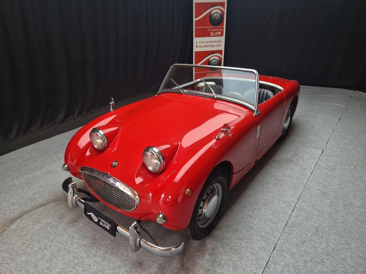 Austin Healey Altro Sprite “Frog Eye” ASI