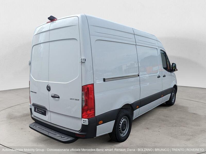 Mercedes-Benz Sprinter F32/35 317 CDI RWD TN Furgone