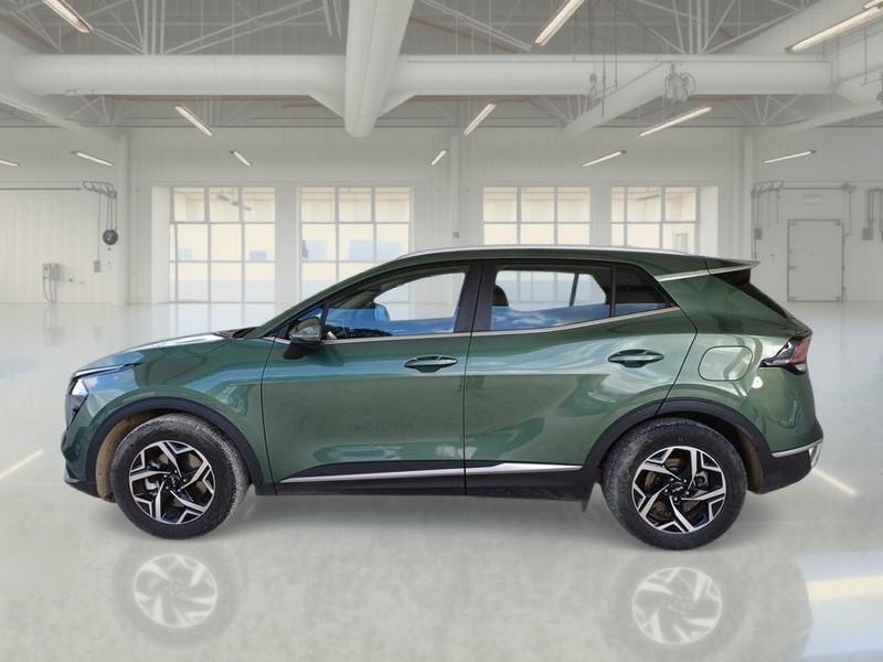 KIA SPORTAGE 1.6 CRDI MHEV BUSINESS 2WD DCT