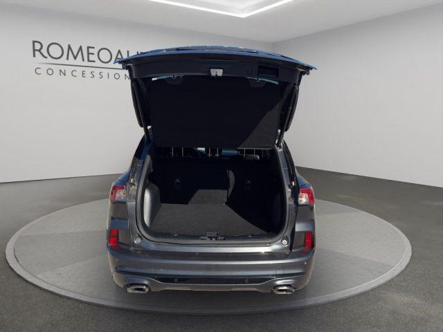 FORD Kuga 2.0 EcoBlue 120 CV aut. 2WD ST-Line