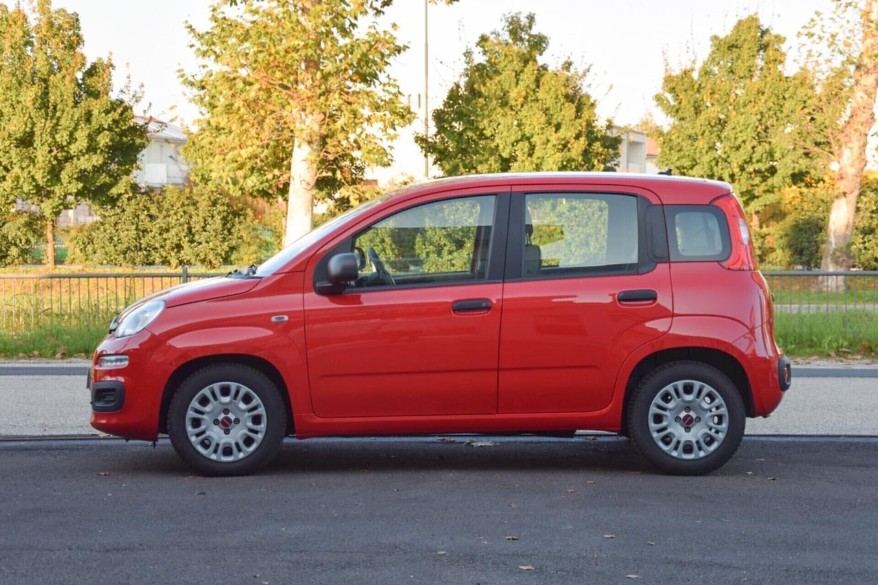 Fiat Panda BENZINA Hybrid 5 posti