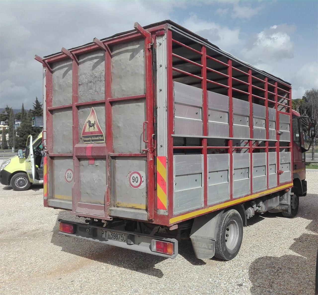 Iveco , Rosso