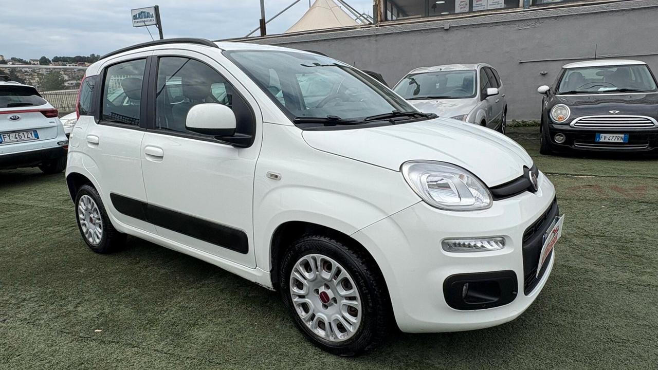 Fiat Panda 1.2 312PXA1A | BENZINA 169A4000 CC 1242 CV 69 KW 51 BERLINA, 5 P. (92816