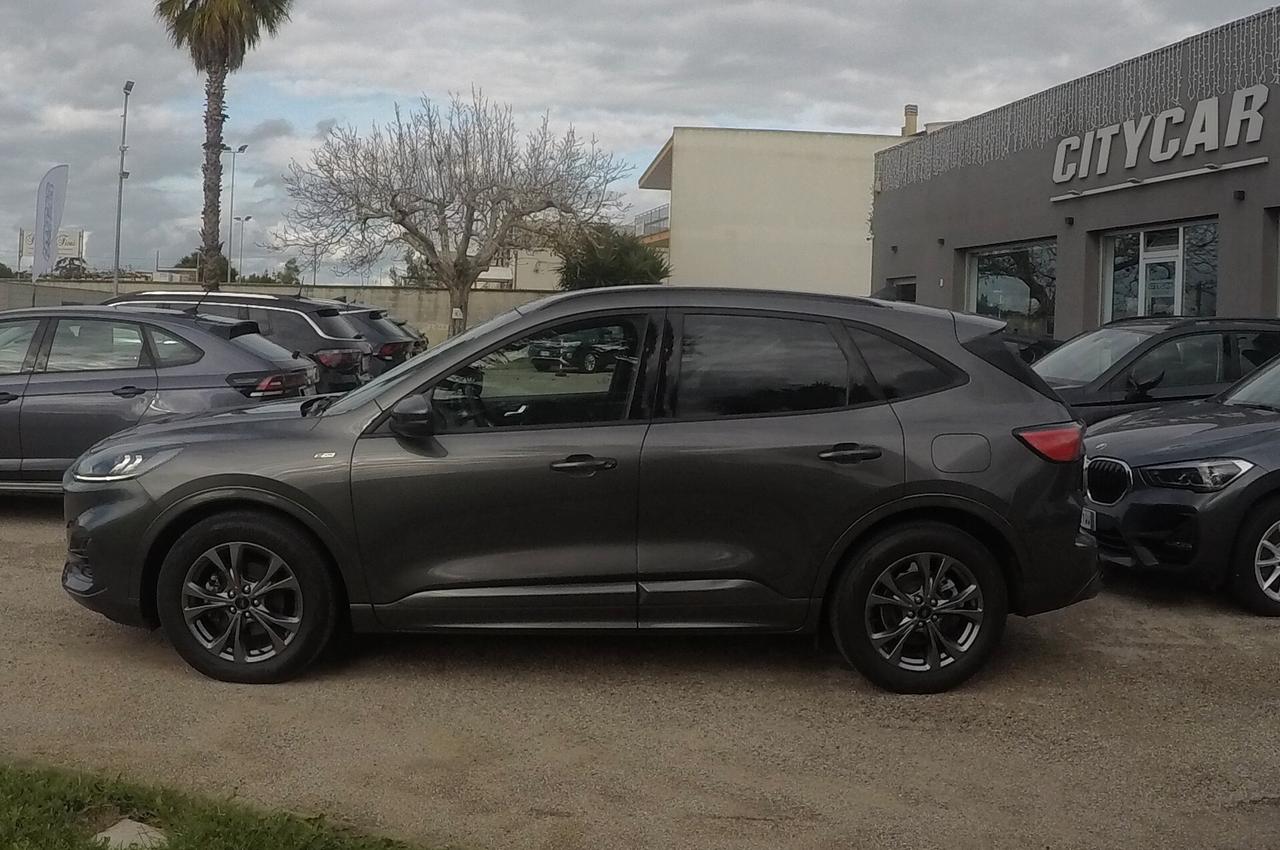 Ford Kuga 1.5 EcoBlue 120 CV aut. 2WD ST-Line