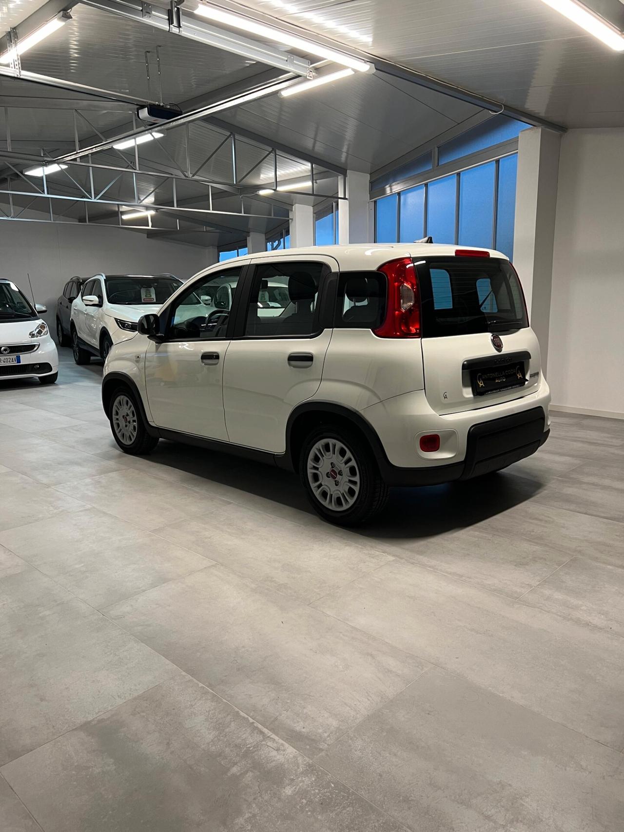 Fiat Panda 1.0 FireFly S&S Hybrid City Life