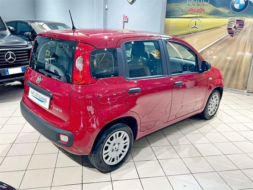 Fiat Panda 1.0 FireFly S&S Hybrid Pandina