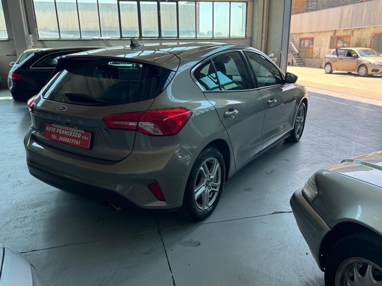 Ford Focus 1.5 EcoBlue 120 CV 5p. Business