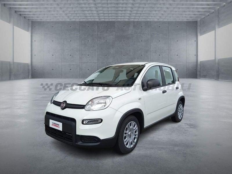 FIAT Panda 1.0 70cv Hybrid Panda