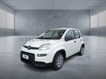 FIAT Panda Panda 1.0 70cv Hybrid Panda