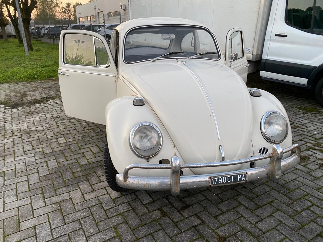 Volkswagen Maggiolino 6V