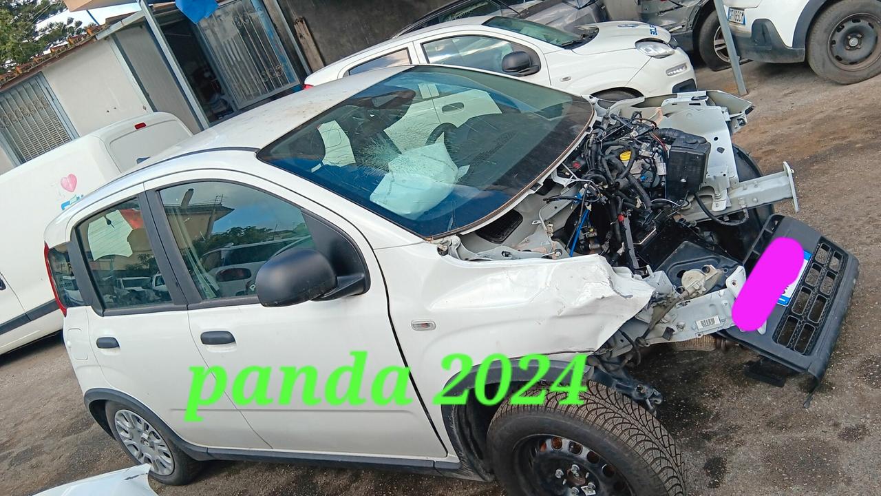 Fiat Panda incidentata sinistrata mondialcars 024