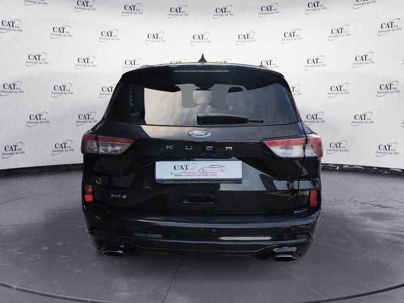 Ford Kuga Kuga 2.0 ecoblue ST-Line X awd 190cv auto