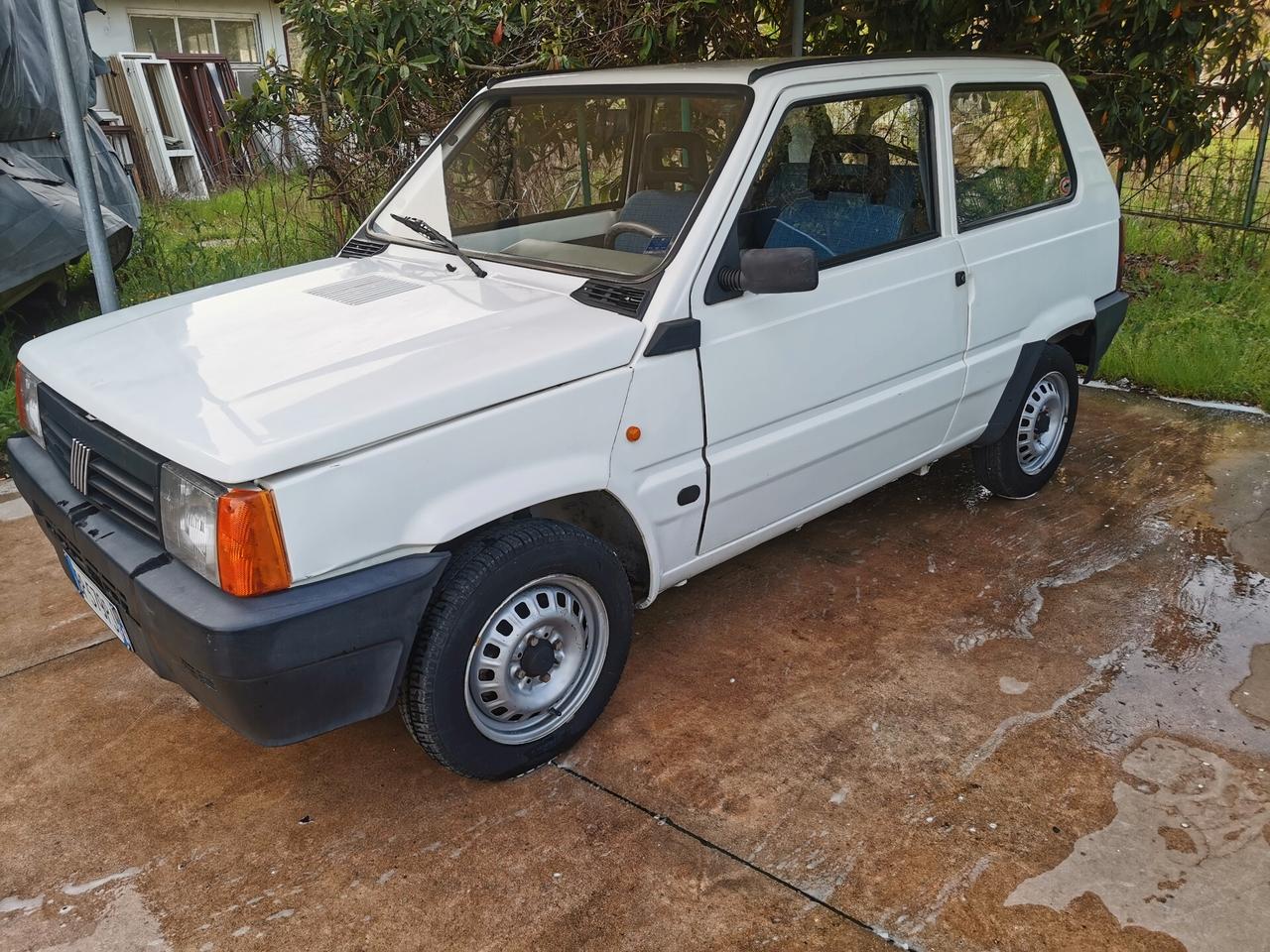 Fiat Panda 1100 i.e. cat Young